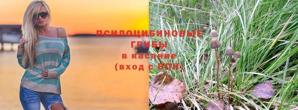 spice Володарск