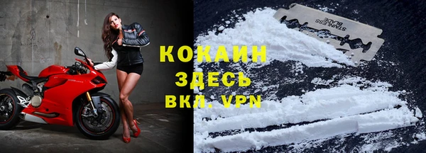 spice Володарск